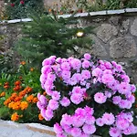 Bed & Breakfast Italiano Synikia Mesi Trikalon