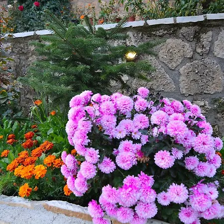 Bed & Breakfast Italiano Synikia Mesi Trikalon