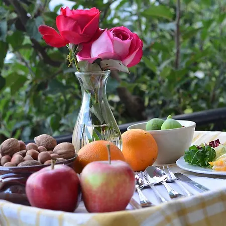 Italiano Bed & Breakfast