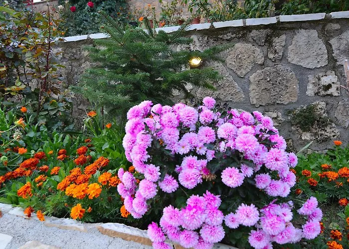 Bed & Breakfast Italiano Synikia Mesi Trikalon