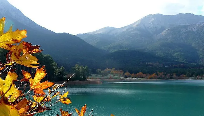 Italiano 3* Synikia Mesi Trikalon